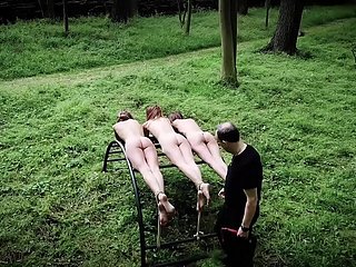 Several teen slaves chastisement together with abashed in rough bdsm