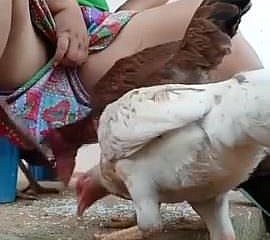 Play a joke on watch desi bhabi feeding hen